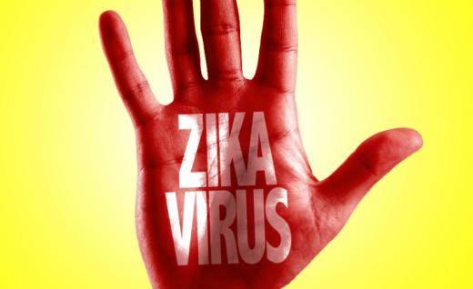 La storia sociale del virus chiamato “Zika”