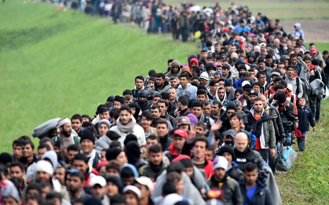 Dibattito. Svizzera-UE. “Caccia e selezione dei migranti”
